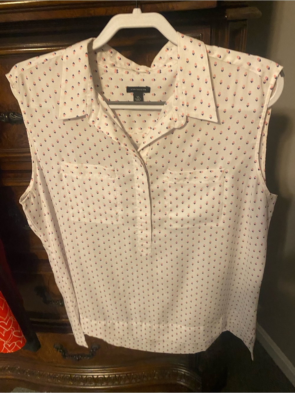 ANN TAYLOR floral popover Sleeveless Blouse XL